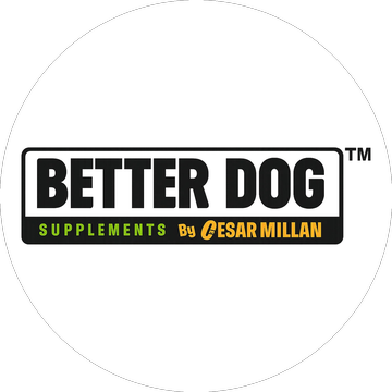 Better Dog logo